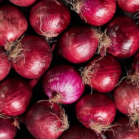 Red onion 🇳🇱
