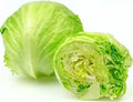 Fresh Iceberg (Lettuce) Large