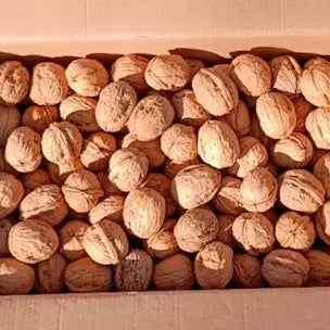 Fresh whole Walnut 🇺🇸