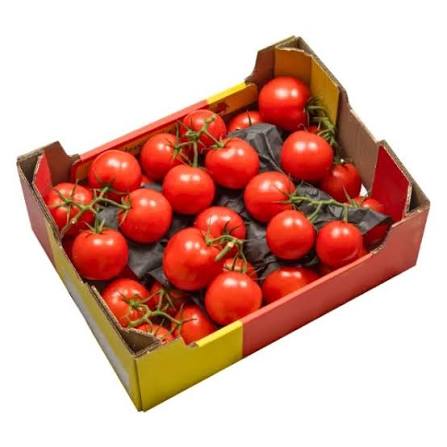 Fresh Vine Tomatoes – SooperSaverFresh UK