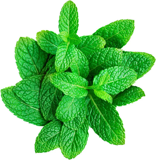 Fresh Mint Bunch 🏴󠁧󠁢󠁥󠁮󠁧󠁿