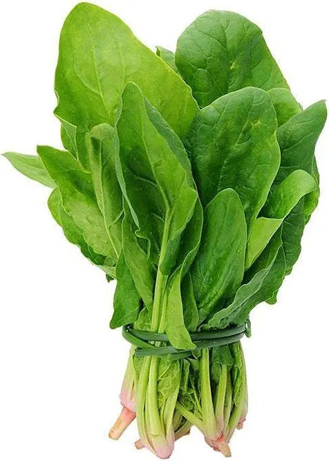 Fresh spinach Bunch