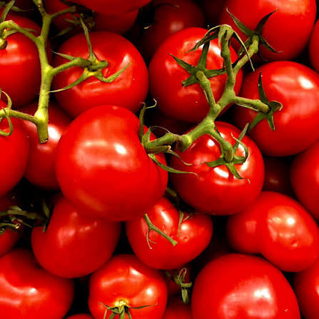 Fresh Vine Tomatoes – SooperSaverFresh UK