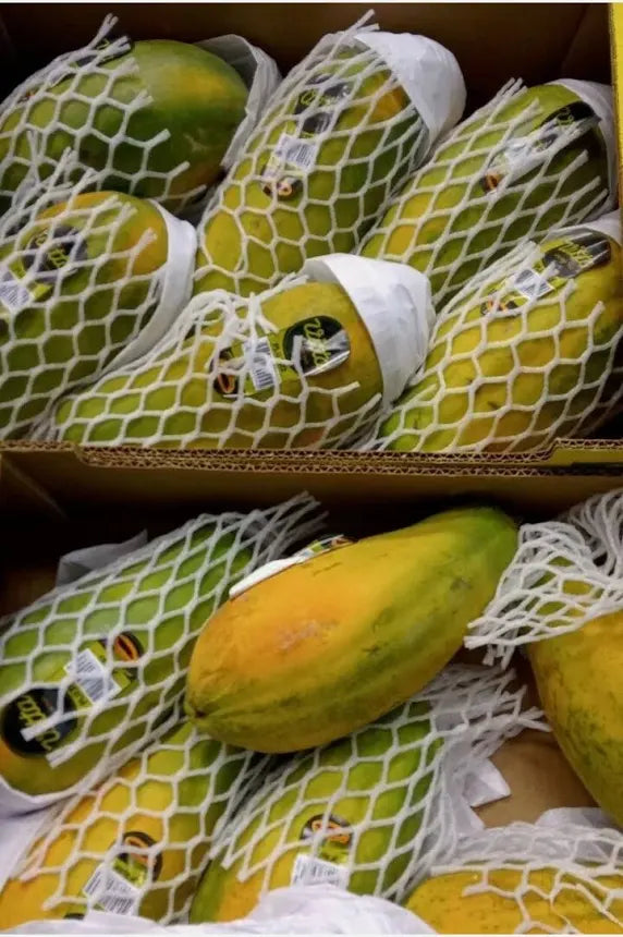 Large Papaya ( 900g-1.5kg )🇧🇷