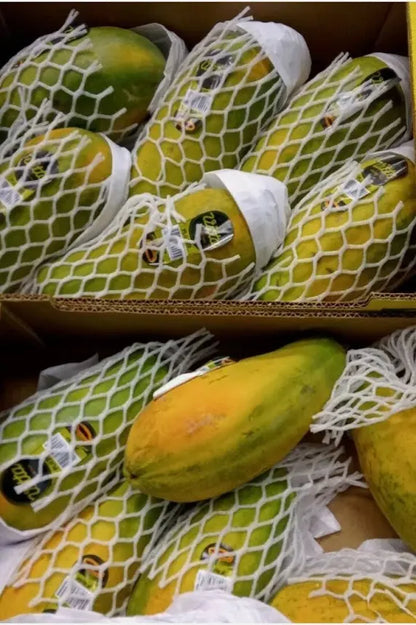 Large Papaya ( 900g-1.5kg )🇧🇷
