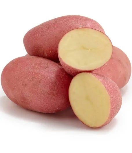 RED POTATOES 🏴󠁧󠁢󠁥󠁮󠁧󠁿