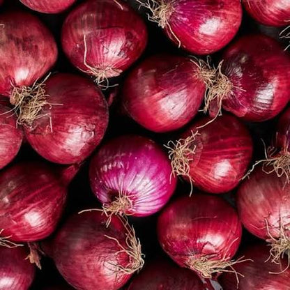 Red onion 🇳🇱