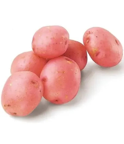 RED POTATOES 🏴󠁧󠁢󠁥󠁮󠁧󠁿