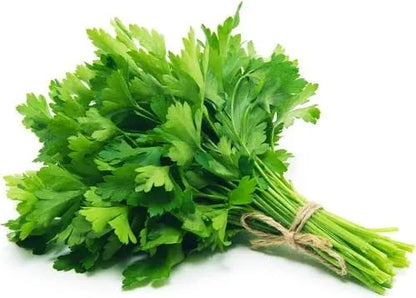 Fresh flat Parsley Bunch 🇪🇸