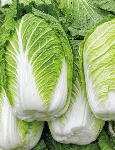 FRESH CHINESE LEAF