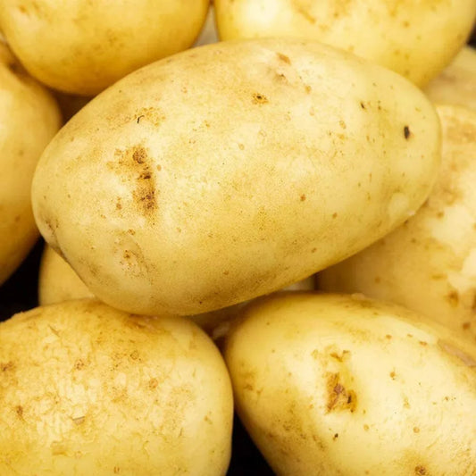 WHITE POTATOES 🏴󠁧󠁢󠁥󠁮󠁧󠁿