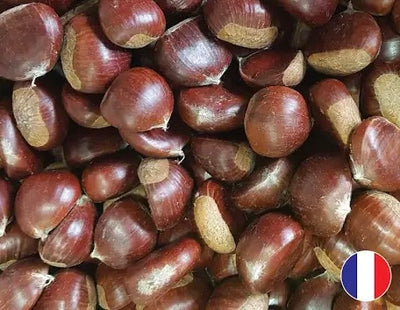 fresh chestnut whole row 🇫🇷