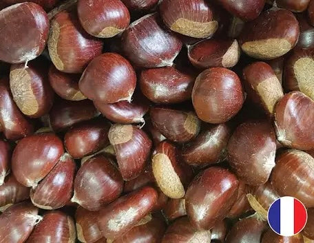 fresh chestnut whole row 🇫🇷