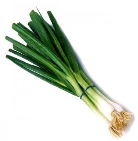 Fresh Spring Onion Bunch Large