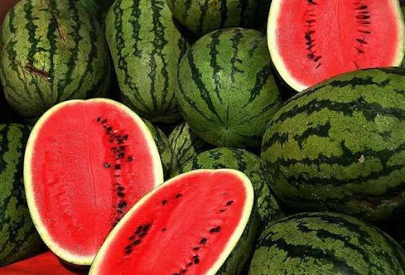 FRESH LARGE Watermelon (£1.51-kg)