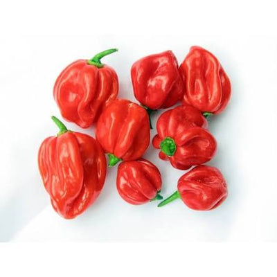 Scotch Bonnet Chili Peppers