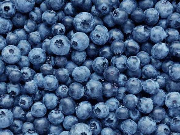 Best Blueberries 150g Punnet 🇧🇪