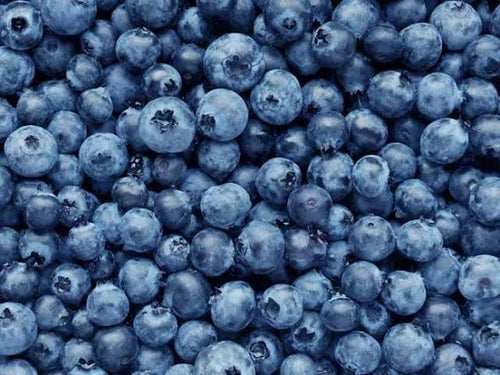 Best Blueberries 150g Punnet 🇧🇪