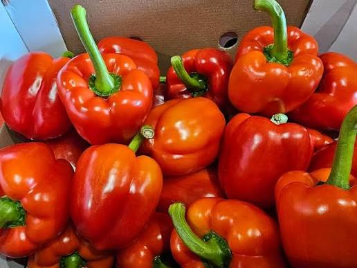 Red Bell Peppers 🇳🇱 🇧🇪