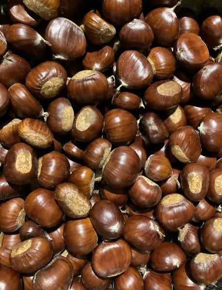 fresh chestnut whole row 🇫🇷