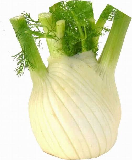 Fresh Fennel Larg 🇮🇹