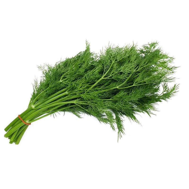 Fresh Dill Bunch