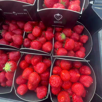 Strawberry 🍓 450g-500g punnet 🇩🇪-🇧🇪